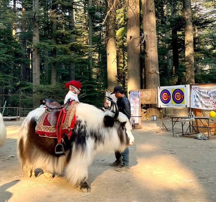 Solan Photography Expedition - Image 2