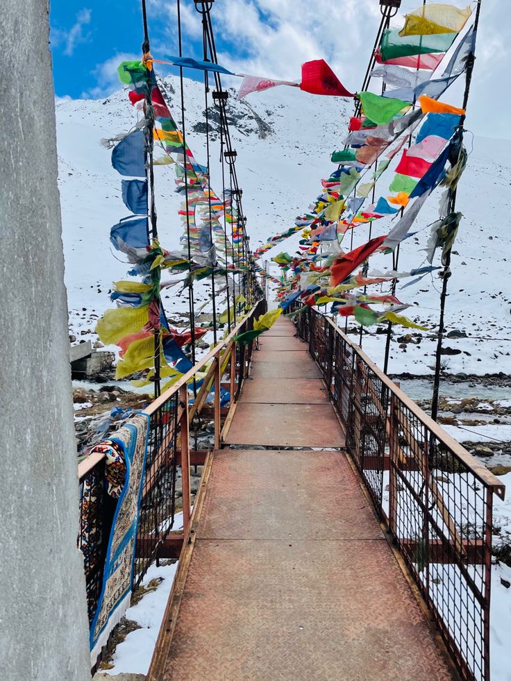 Himalayan Wellness Retreat - Image 4