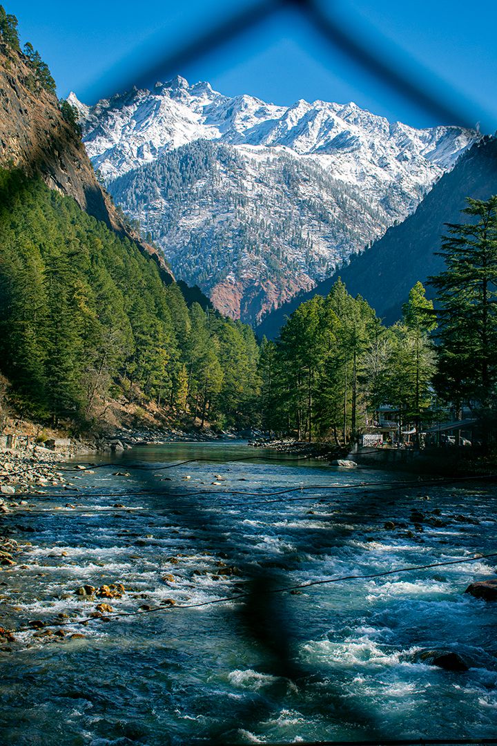 Himalayan Wellness Retreat - Image 2